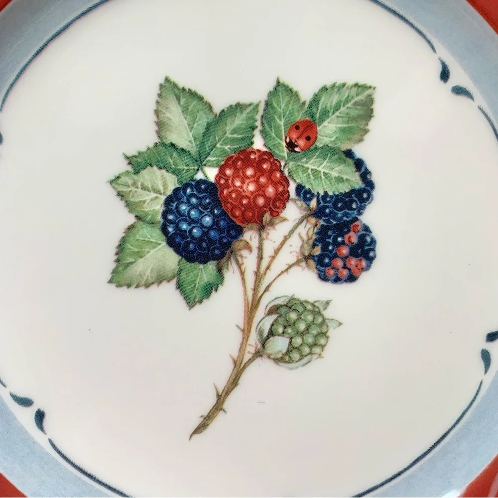 Villeroy & Boch SET of 2 Cottage Berries 8” Salad Plates Country Collection Red